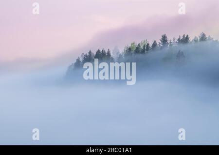 Dicker Nebel, Nordküste des Lake Superior in der Grand Superior Lodge, Frühsommer, Minnesota, USA, von Dominique Braud/Dembinsky Photo Assoc Stockfoto