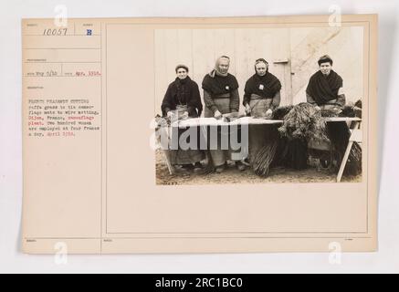 Französische Bauern schneiden raffa-Gras, um Tarnmatten an Drahtnetze zu binden, Dijon, Frankreich, Tarnfabrik. Zweihundert Frauen sind für vier Francs am Tag beschäftigt. April 1918." Stockfoto