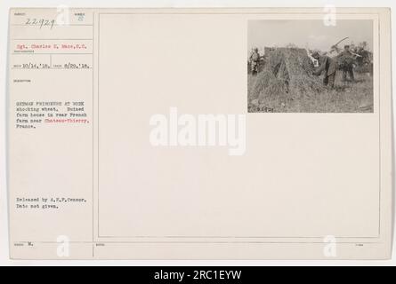 Deutsche Kriegsgefangene, die auf einem Weizenfeld in der Nähe eines zerstörten Bauernhofs in Chateau-Thierry, Frankreich, arbeiten. Das Foto wurde am 29. August 1918 von Sergeant Charles E. Mace gemacht. Ursprünglich veröffentlicht von A.E.P. Zensor, das genaue Veröffentlichungsdatum ist unbekannt. (Bildunterschrift basierend auf bereitgestellten Informationen) Stockfoto