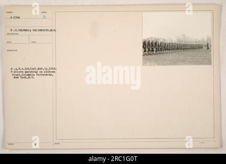 Matrosen von der S.A.T.C. Marschiert am 12. November 1918 in Platoon-Formation an der Columbia University in New York City. Das Foto wurde während einer Feiertagsparade oder -Veranstaltung aufgenommen. Es ist Teil einer Sammlung von Fotografien, die amerikanische Militäraktivitäten während des Ersten Weltkriegs darstellen, die von der S.C. mit der Nummer 46758 belegt wurden Columbia University.Foto wurde am 12. November 1918 aufgenommen und ist als aufgenommen ausgestelltes Symbol 8.A.T.C. Holiday gekennzeichnet. Die Matrosen marschieren vor dem Zug. Das Bild ist Teil der Sammlung mit der Nummer 46758 von S.C., Columbia University Photo De Stockfoto