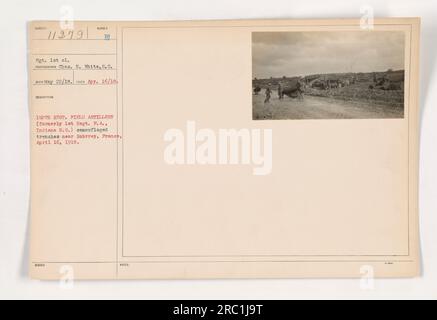 Amerikanische Soldaten der 150. Regiment Field Artillery, früher bekannt als 1. Regiment Field Artillery der Indiana National Guard, errichteten am 16. April 1918 getarnte Gräben in der Nähe von Rohrrey, Frankreich. Das Foto wurde von Sergeant 1. Klasse Charles H. White aufgenommen. Stockfoto