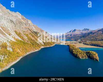 Herbst in den Schweizer Alpen, See Sils Lej da Segl, Drohnenfoto, Sils im Engadin, Kanton Graubuenden, Schweiz Stockfoto