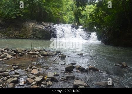 Fluss in den Bergen. Wundervolle Frühlingslandschaft der karpaten. Blaues grünes Wasser inmitten von Wäldern und felsigem Ufer. Holzzaun am Fluss Stockfoto
