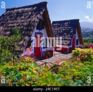 Typisches Cottage in Lombo do Curral nahe Santana an der Nordküste, Portugal, Madeira Insel Stockfoto