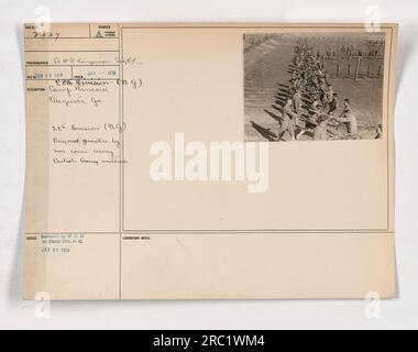 Soldaten der 28. Division im Camp Hancock in Augusta, Georgia, praktizieren Bajonetttechniken mit Methoden, die von der britischen Armee geliehen wurden. Dieses Foto wurde im Januar 1918 vom Fotografen SH.P. Kingsmon, Sigre. Es wurde vom Kriegsbüro für die Fotoabteilung im 26. Januar 1918 veröffentlicht. Stockfoto