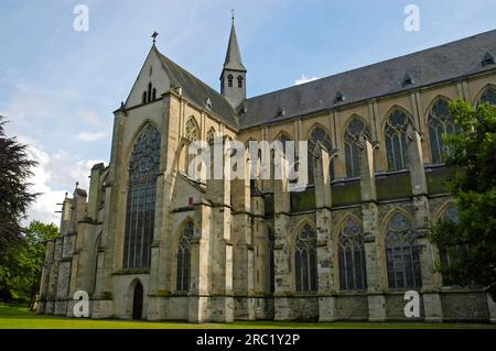 Altenberger Dom, Altenberg, Odenthal, Bergisches Land, Nordrhein-Westfalen, Deutschland Stockfoto