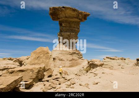 Der Pilz, Valle de Luna, El Hongo, Steinformation, Naturschutzgebiet Ischigualasto, Moon Valley, Provinz San Juan, Argentinien Stockfoto