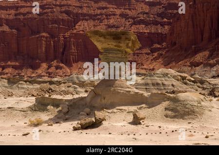 Der Pilz, Valle de Luna, El Hongo, Steinformation, Naturschutzgebiet Ischigualasto, Moon Valley, Provinz San Juan, Argentinien Stockfoto