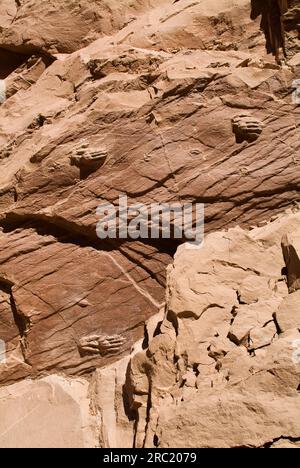 Fossilized Dinosaur Footprints, Laguna Brava, Las Vicunas National Reserve, High Andes, La Rioja Province, Argentinien Stockfoto