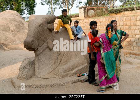 Großer Stein Nandi vor dem Pancha Rathas Five Rathas, monolithische Felsenarchitektur aus dem späten 7. Jahrhundert in Mahabalipuram Stockfoto