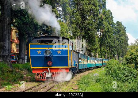 Aufregender Ausflug mit der Nilgiri Mountain Railway von Ooty nach Mettupalayam, Tamil Nadu, Südindien, Indien, Asien. UNESCO-Weltkulturerbe Stockfoto