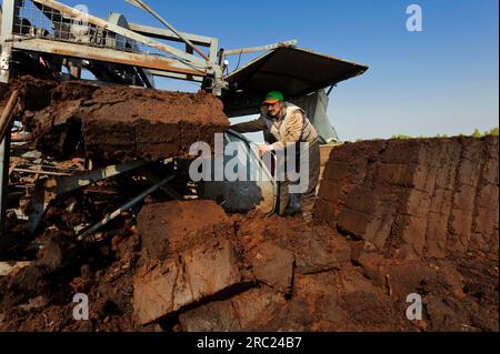 Industrielles Torfschneiden, Stechen, Säen, Torf wird geschnitten, Goldenstedter Moor, Niedersachsen, Deutschland Stockfoto