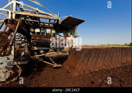 Industrielles Torfschneiden, Stechen, Säen, Torf wird geschnitten, Goldenstedter Moor, Niedersachsen, Deutschland Stockfoto