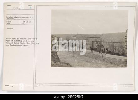 Maultiere an der Streikpostenlinie im Army Remunt Depot Nr. 1 nahe Montiers sur Sauly, Mause, Frankreich. Das Foto wurde von Sergeant 1. Cl. J. T. Seabrook. Das Bild ging am 14. Dezember 1918 ein und wurde als Nummer 41243 ausgegeben. Dieser Titel basiert auf sachlichen Informationen aus der Quelle. Stockfoto