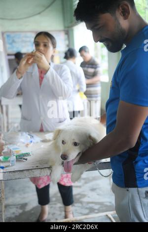 Die Tiere werden am Welt-Zoonosen-Tag in der staatlichen Veterinärklinik Agartala behandelt und geimpft. Der Welt-Zoonosen-Tag wird jedes Jahr am 6. Juli beobachtet, um das Bewusstsein für Krankheiten zu schärfen, die von Tieren auf Menschen übertragen werden können, und um an den Tag zu erinnern, an dem Louis Pasteur am 6. Juli 1885 erfolgreich den ersten Impfstoff gegen das Tollwut-Virus verabreicht hat. Tripura, Indien. Stockfoto