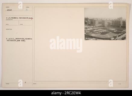 Gruppe junger Männer, die in das Student Army Training Corps (S.A.T.C) an der Columbia University in New York aufgenommen werden. Das Foto wurde von der S.C.Columbia University aufgenommen und das Beschreibungssymbol ist RECO. Das Foto wurde im Rahmen des A 8.A.T.C-Einführungsprozesses aufgenommen. In den Notizen steht, dass es sich um Foto Nummer 46846 handelt. Stockfoto