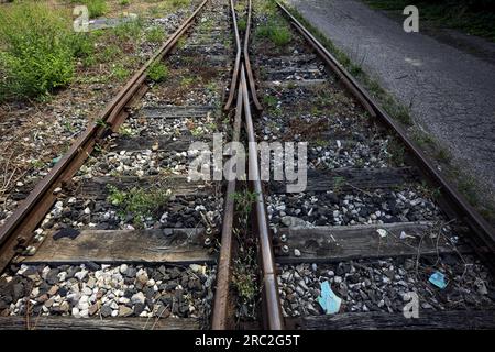 Rostige Bahngleise, von oben und aus nächster Nähe zu sehen Stockfoto