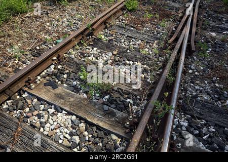 Rostige Bahngleise, von oben und aus nächster Nähe zu sehen Stockfoto