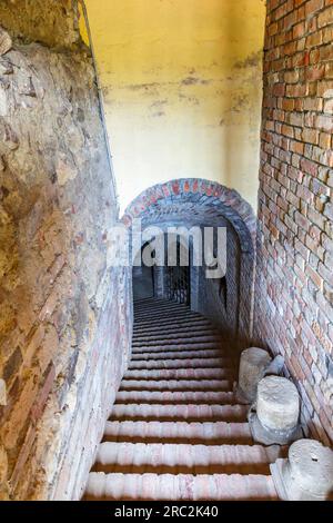 Treppen runter in einen Keller Stockfoto