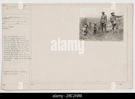 Männer von Kompanie C, 107. Feldsignalbataillon, reparieren Draht, der durch Patronenfeuer bei Juvigny, Frankreich, beschädigt wurde. Der Draht führte zum P.S. der Brigade Valpries-Farm. Auf dem Foto ist CPL Allen Hanson vom Signalkorps, Michigan Nationalgarde. Das Foto wurde am 14. Oktober 1918 aufgenommen und am 29. August 1918 erhalten. Es wurde vom A.E.P. Zensor verabschiedet. Stockfoto