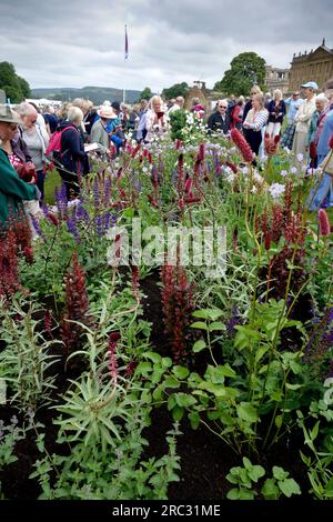 RHS Flower Show, Chatsworth House, England. Stockfoto