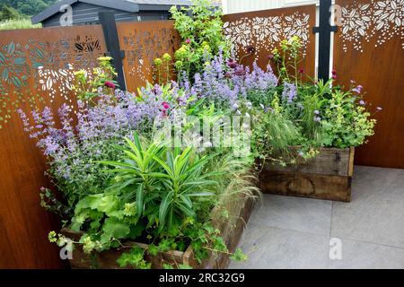 RHS Flower Show, Chatsworth House, England. Stockfoto