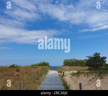 Pfad zum Sandstrand an der Ostseeküste Stockfoto