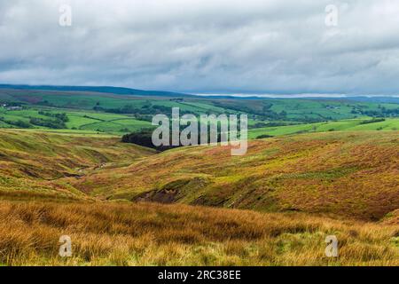 Ein breiter Landschaftsblick über einen Teil des Forest of Bowland in Lancashire von wilder Heide bis hin zu Feldern und Bäumen. Lancashire und Yorkshire teilen sich Bowland Stockfoto