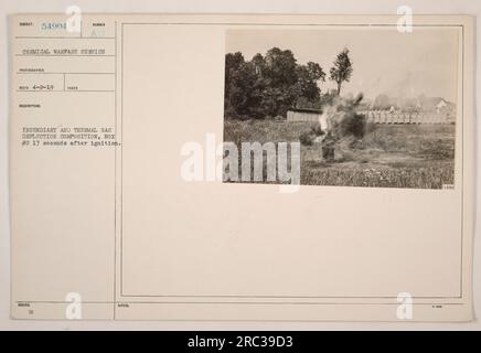 Das Bild zeigt eine Zusammensetzung der Brandverformung und der thermischen Gasverformung, insbesondere Kasten Nr. 2, die 17 Sekunden nach der Zündung durchgeführt wurde. Das Foto wurde vom Chemical Warfare Service-Fotografen Reed am 2. April 1919 aufgenommen. Das Bild ist Teil einer Sammlung amerikanischer Militäraktionen während des Ersten Weltkriegs Im Jahr 1989 wurden Fotobeschreibungen und ausgestellte Notizen vorgelegt. Stockfoto