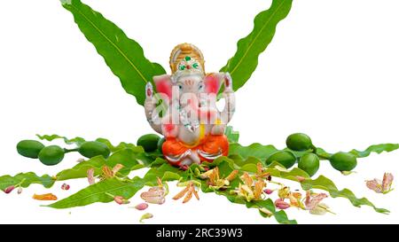 Lord ganesha-Idol auf einem frischen grünen aschoka- oder Saraca-Asoka-Baum mit weißem Hintergrund Stockfoto