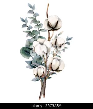 Aquarell-Eukalyptus und Baumwoll-Blumenstrauß-Illustration. Handgezogene rustikale Karte für Blumenmotive Stockfoto