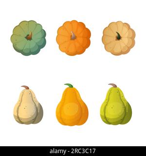 Set of pumpkins of different colours and sizes. Vector illustration. Elements for Thanksgiving and Halloween celebration. Stock Vektor