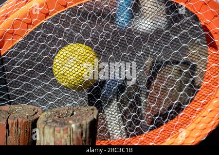 Detailbild von Tennisschlägern und Ball auf einem sehr verschwommenen Hintergrund, an einem sehr sonnigen Tag. Geringe Schärfentiefe. Wunderschöner Kontrast der Texturen. Stockfoto