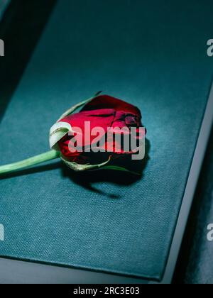 Leicht verwelkte rote Rose auf dem Hardback-Buch Stockfoto
