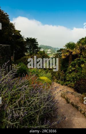 Overbeck's Garden in Devon mit seinen exotischen und seltenen Pflanzen. Stockfoto