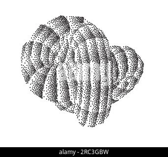 Torus mit versteiftem Gradienten auf Polygonen aufgeteilt Stock Vektor