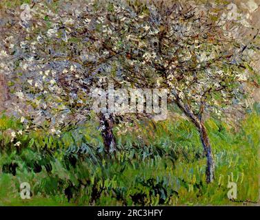 Apfelbäume in Bloom in Giverny 1901 von Claude Monet Stockfoto