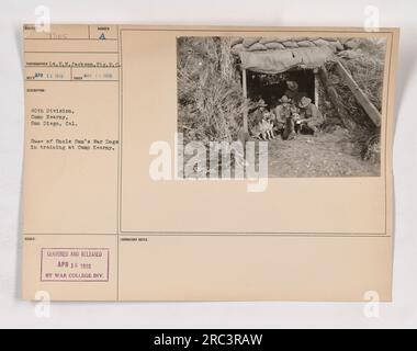 Soldaten der 40. Division von Camp Kearney, San Diego, werden gezeigt, wie sie Onkel Sams Kriegshunde 1918 ausbilden. Dieses Foto wurde von dem Fotografen L.E.N. Jackson aufgenommen. Das Bild zeigt Soldaten, die im Camp Kearney Hundetraining absolvieren. 15. April 1918. Stockfoto