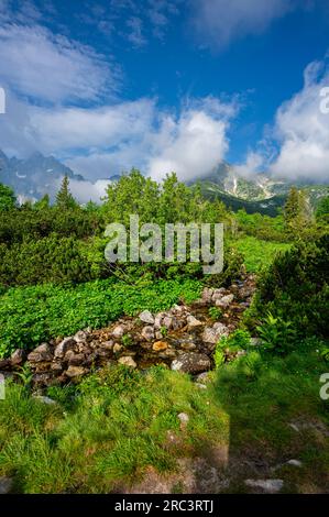 Blick auf die hohe Tatra von der Belianske Tatra. Tatra-Nationalpark, Slowakei. Stockfoto