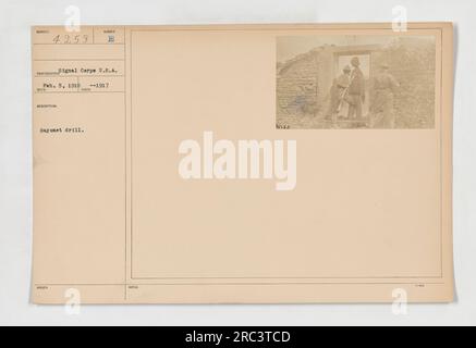 Soldaten, die während des Ersten Weltkriegs an einem Bajonettbohrer teilnahmen. Das Foto wurde am 5. Februar 1918 aufgenommen und ist Teil der Signal Corps Collection. Das Bild misst rund um die Uhr und zeigt die militärischen Ausbildungsaktivitäten der US-Armee. Stockfoto