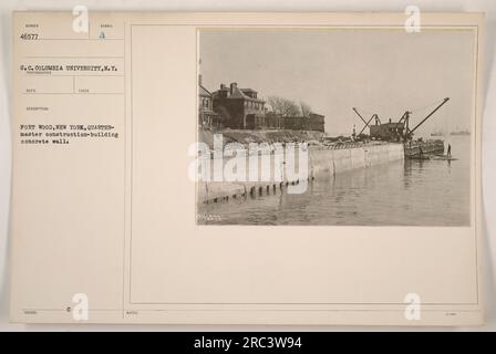 Hier wird gezeigt, wie Mitarbeiter des Quartiermeisters in Fort Wood, New York, eine Stahlbetonwand bauen. Das Foto ist Teil der Kollektion der Columbia University und trägt die Nummer 46577. Die Beschreibung des Fotografen '188VED: SYMBOL A MADE FORT WOOD, NEW YORK, QUARTALSMASTERS Bau-Betonwand' identifiziert das Thema weiter. Stockfoto