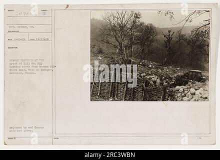 Deutsche Schützengräben am Hügel Nr. 283 in Bois de Romagne Ardennes, Frankreich. Das Bild wurde am 19. November 1918 aufgenommen und zeigt die Gräben entlang des Hügelkamms, von der deutschen Militärstraße M1 aus gesehen. Es wurde von Private Gibbom aufgenommen, einem Fotografen aus South Carolina. Das Datum der Veröffentlichung durch den AEF-Zensor ist unbekannt. Stockfoto