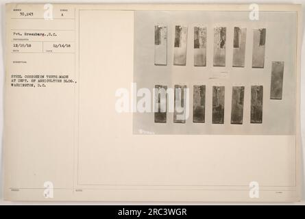 Soldat, der im Rahmen militärischer Aktivitäten während des Ersten Weltkriegs Stahlkorrosionstests im Department of Agriculture Building in Washington, D.C. durchführt. Dieses Bild wurde am 20. Dezember 1918 aufgenommen und trägt die Nummer 111-SC-30243. Stockfoto