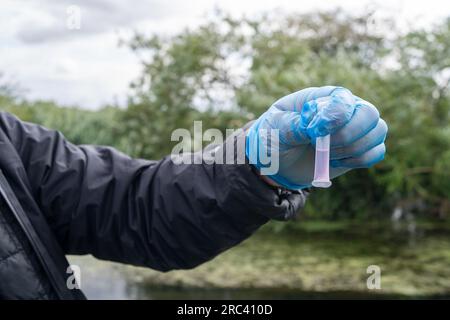 Dorney, Großbritannien. 12. Juli 2023. Die Bürgerwissenschaftler Dave und Jacqui Wallace, die im Auftrag der Henley River Action Group tätig waren, haben heute mit den von Earthwatch Europe bereitgestellten Testgeräten Tests zur Wasserverschmutzung in Roundmoor Ditch in Dorney Common in Buckinghamshire durchgeführt. Die Überwachung der Dauer von Thames Water Event (EDM) zeigt, dass Themsenwasser aus den nahe gelegenen Kläranlagen für Thames Water Slough in den Roundmoor-Graben eingelaufen ist. Die letzte EDM-Einleitung wurde jedoch am 21. Januar 2023 erfasst. Die Ergebnisse der heutigen Tests auf dem wolkigen Wasser in Roundmoor Graben fanden beides Stockfoto