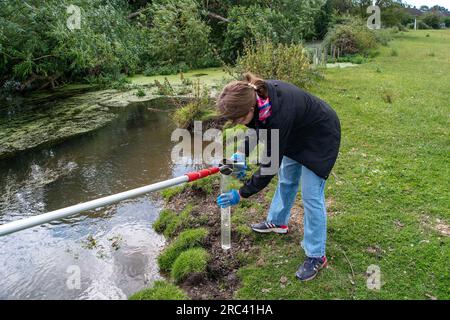 Dorney, Großbritannien. 12. Juli 2023. Die Bürgerwissenschaftler Dave und Jacqui Wallace, die im Auftrag der Henley River Action Group tätig waren, haben heute Tests der Wasserverschmutzung in Roundmoor Ditch (im Bild) in Dorney Common in Buckinghamshire mit Testgeräten von Earthwatch Europe durchgeführt. Die Überwachung der Dauer von Thames Water Event (EDM) zeigt, dass Themsenwasser aus den nahe gelegenen Kläranlagen für Thames Water Slough in den Roundmoor-Graben eingelaufen ist. Die letzte EDM-Einleitung wurde jedoch am 21. Januar 2023 erfasst. Die Ergebnisse der heutigen Tests auf dem trüben Wasser in Roundmoor Graben Stockfoto