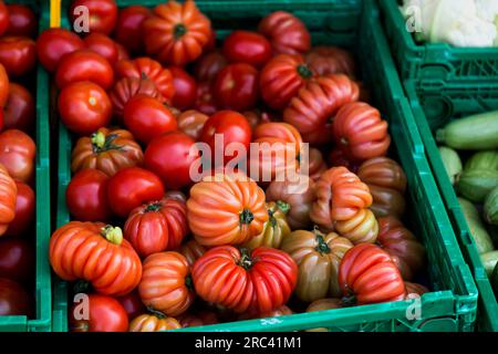 Ein Haufen coeur du Boef Tomaten in einem grünen Korb, lokaler Bauernmarkt Stockfoto