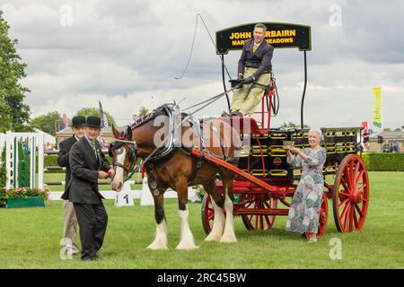 Great Yorkshire Show, Harrogate, Großbritannien. Dienstag, 11 2023. Preisgekröntes Team, Mr. John Fairbairn von Marshall Meadows in der Schwerpferd-Singles-Klasse, Gr Stockfoto