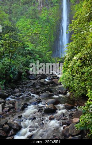 Wasserfall auf der karibischen Insel Guadeloupe. Chutes du Carbet, Wasserfall im Guadeloupe National Park. Naturwunder. Stockfoto