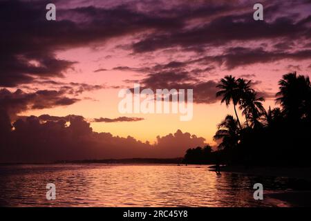 Sonnenuntergang am Strand von Guadeloupe. Karibische Urlaubslandschaft. Strand Bois Jolan (Plage de Bois Jolan). Stockfoto