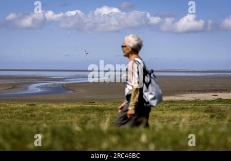 SINT JACOBIPAROCHIE - Ein Salzmarschgebiet für Vögel in der Gegend von Wadden. Wad Birds können hier essen, sich vermehren und ausruhen. ANP KOEN VAN WEEL niederlande raus - belgien raus Stockfoto